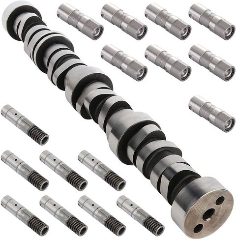 ECCPP Engine Camshaft and Lifters Fit for 2008-2009 for Buick LaCrosse 2007-2013 for Chevy Avalanche 2008-2013 for Chevy Silverado 1500 CamShaft Lifters Kit MC1394 T101068 12639516 HL177 HL124 in Saudi Arabia