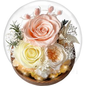 Preserved Roses Fresh flowers Real Flowers with LED Lights, Unique Flowers Gifts for Mom Mother Day, Valentines Day Rose Flowers Gifts for Women Her Wife Girlfriend Grandma Gift Flowers Fresh bouquet