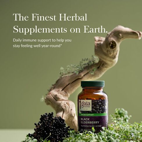 Gaia Herbs Black Elderberry - Daily Immune Support Supplement to Help Maintain Well-Being - with Black Elderberries and Acerola Fruit for Antioxidant Support - 60 Vegan Capsules (30-Day Supply) in Kuwait