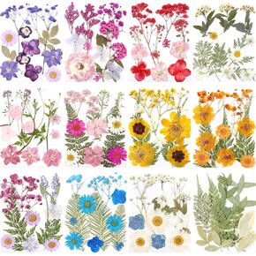 12 Sheets Real Dried Flowers for Crafts, Beginner's Kit, Bulk Natural Pressed Flowers for Resin, Scrapbooking, Bookmarks, Glass Frames, Cake Decor with Tweezers - Muti Color