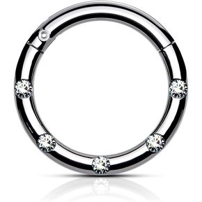 Pierced Owl - 16GA Stainless Steel Five CZ Crystal Lined 8mm Diameter Hinged Segment Ring