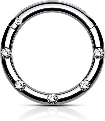 Pierced Owl - 16GA Stainless Steel Five CZ Crystal Lined 8mm Diameter Hinged Segment Ring in Kuwait
