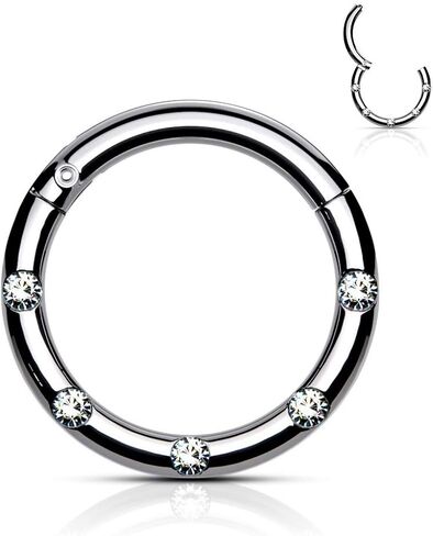 Pierced Owl - 16GA Stainless Steel Five CZ Crystal Lined 8mm Diameter Hinged Segment Ring in Kuwait