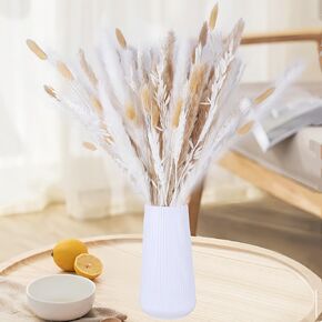 80PCS Natural Dried Pampas Grass Decor Boho Fall Decorations for Home Living Room Bunny Tails Grass Dried Flowers for Wedding Table Decor Floral Bouquet Bulk(Excluding Vase)