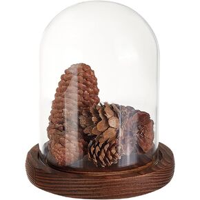 1 Pc Glass Display Dome Cloche, 4.06x6.3 Inch Cloche Bell Jar Terrarium with Cork Base Decorative Display Dome Case for Plants Flower Christmas Display Decoration, Clear