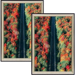Space Art Deco, 13x19 Picture Frame without Mat for 13x19 Photo, High Definition Real Glass Wall Display (Black/Silver, 2-Pack) in Kuwait