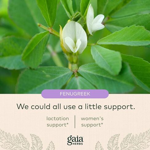 Gaia Herbs Lactation Support - Supports Healthy Milk in Nursing Mothers* - Fenugreek and Fennel Seed - 120 Vegan Liquid Phyto-Capsules (40-Day Supply) in Saudi Arabia