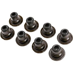 GM Genuine Parts 12482063 Engine Intake Valve Stem Oil Seal Kit
