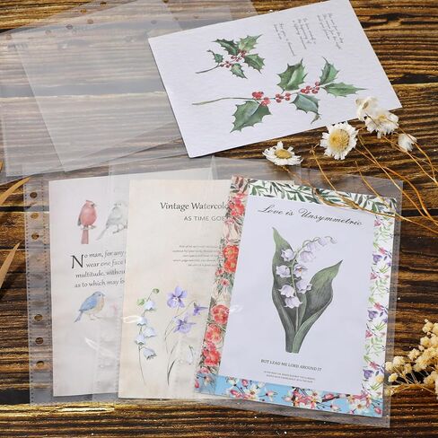 30 حزمة من 60 جيبًا مقاس 5 × 7 بوصات لحافظات بطاقات الصور مقاس A5 و6 حلقات، صفحات صور بجيب واحد على الوجهين وواقي أوراق صور فائق الوضوح للصور والبطاقات البريدية in Kuwait