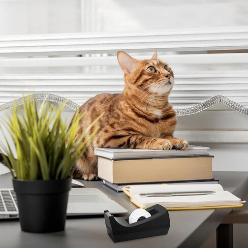 OWLKELA 2 عبوة من موزع الأشرطة مع الأشرطة، 1 بوصة، أسود، شريط شفاف مع موزعات مع تصميم وسادة مضادة للانزلاق، مثالي للمدرسة، المنزل، تغليف الهدايا، المكتب in Kuwait