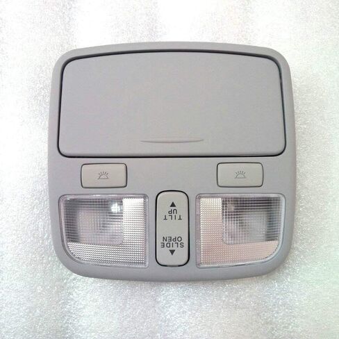 HYUNDAI Overhead Console Lamp Assy Gray 2009-2010 Sonata OEM Parts in Saudi Arabia