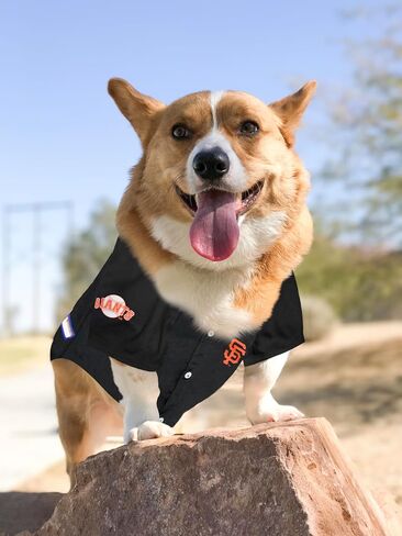 MLB Jersey for Dogs & Cats - Baseball Milwaukee Brewers Pet Jersey, Medium. in Saudi Arabia