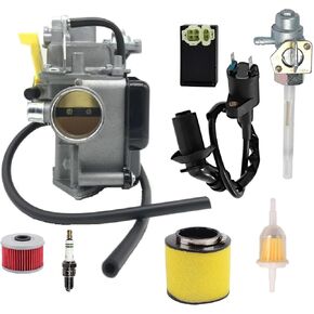 FOR FourTrax 250 Carburetor 1987 1988 1989 1991 1992 with IC&CDI Box，Tank Shut Off Valve，17254-HM8-000 filters