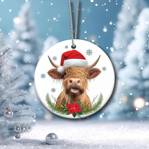 Funny Ornaments Christmas 2024, Jesus I Saw That Ornament, Santa Ornaments for Christmas Tree, Funny Santa Ornaments for Christmas Tree 2024, Friendship Elephant Ornament in Saudi Arabia