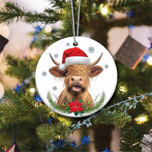 Funny Ornaments Christmas 2024, Jesus I Saw That Ornament, Santa Ornaments for Christmas Tree, Funny Santa Ornaments for Christmas Tree 2024, Friendship Elephant Ornament in Saudi Arabia