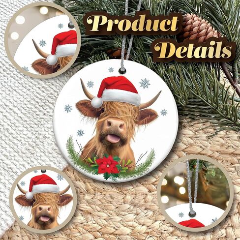 Funny Ornaments Christmas 2024, Jesus I Saw That Ornament, Santa Ornaments for Christmas Tree, Funny Santa Ornaments for Christmas Tree 2024, Friendship Elephant Ornament in Saudi Arabia