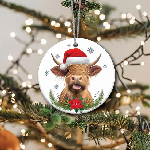 Funny Ornaments Christmas 2024, Jesus I Saw That Ornament, Santa Ornaments for Christmas Tree, Funny Santa Ornaments for Christmas Tree 2024, Friendship Elephant Ornament in Saudi Arabia