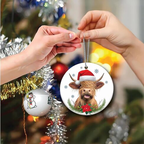 Funny Ornaments Christmas 2024, Jesus I Saw That Ornament, Santa Ornaments for Christmas Tree, Funny Santa Ornaments for Christmas Tree 2024, Friendship Elephant Ornament in Saudi Arabia