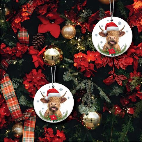 Funny Ornaments Christmas 2024, Jesus I Saw That Ornament, Santa Ornaments for Christmas Tree, Funny Santa Ornaments for Christmas Tree 2024, Friendship Elephant Ornament in Saudi Arabia