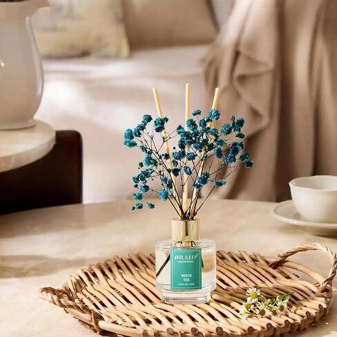 Airkeep Reed Diffuser Set of 3, Ocean Breeze Sweet Orange Cashmere Vanilla Oil Reed Diffusers for Bedroom Living Room Office Aromatherapy Oil Reed Diffuser for Gift 50ml x 3 in Kuwait