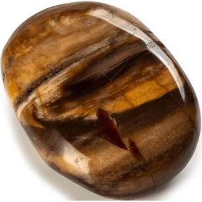 KALIFANO Petrified Wood Palm Stone with Healing & Grounding Properties - AAA Grade High Energy Madera Petrificada Worry Stone with Information Card - Reiki Crystal Used for Passion (Family Owned)