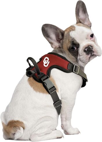 Littlearth Unisex-Adult NCAA Clemson Tigers Front Clip Pet Harness, Team Color, X-Small in Saudi Arabia