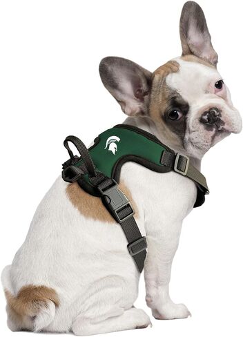 Littlearth Unisex-Adult NCAA Clemson Tigers Front Clip Pet Harness, Team Color, X-Small in Saudi Arabia