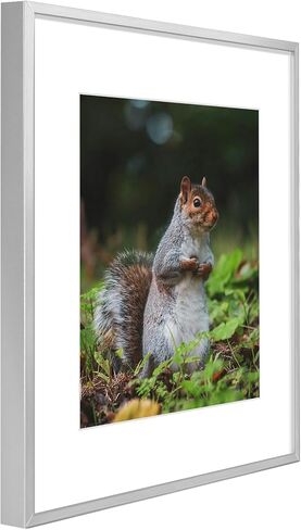 Golden State Art, A1 Aluminum Black Photo Frame with Plexiglass - Swivel Tabs, Sawtooth Hangers, Spring Clips - Metal Wall Poster Frame Collection (3 Pack) in Saudi Arabia
