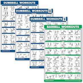 Palace Learning 4 Pack - Dumbbell Workout Posters Volume 1, 2 & 3 + Barbell Exercise Chart - Set of 4 Posters (LAMINATED, 18" x 24")