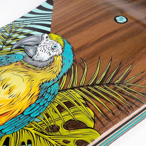 القطاع 9 خط الصدع جثم Longboard كاملة in Kuwait