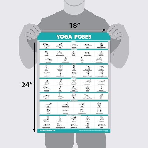 Palace Learning 4 Pack: Yoga Poses Posters Volume 1, 2 & 3 + Stretching Workout Exercise Chart in Saudi Arabia
