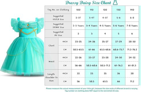Dressy Daisy Arabian Princess Costumes Birthday Fancy Halloween Party Tulle Dress for Toddler Little Girls Size 2T to 8 in Saudi Arabia