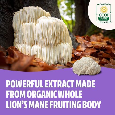 FreshCap Lions Mane Supplement Capsules - Ayurveda Premium USDA Organic Dual Extracted Mushrooms - Third Party Tested - Whole Fruiting Body - Non-GMO, Gluten Free, Vegan, for Memory & Immunity (120ct) in Saudi Arabia