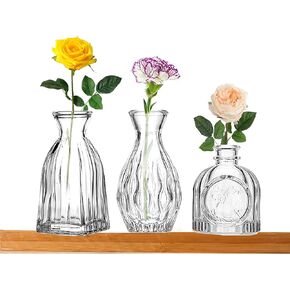 FANTESTICRYAN Glass Bud Vases Set of 3, Clear Vase for Flowers Small Glass Vase Single Flower Mini Vases Bulk for Centerpiece Wedding Table Decor, Home Decorations