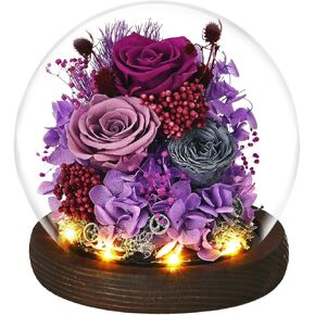 Valentines Day Roses Gifts for Her, Rose in Glass Dome with LED Light - Gifts for Women Mom Grandma Her Girlfriend Wife