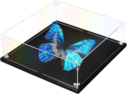 Clear Acrylic Display Case for Bible, Book Display Case, Stamp or Coin Collection Display Case Self Assemble Display Case Collectibles Acrylic Display Box(32x25x8cm, 12.6x9.8x3.1inch) in Saudi Arabia