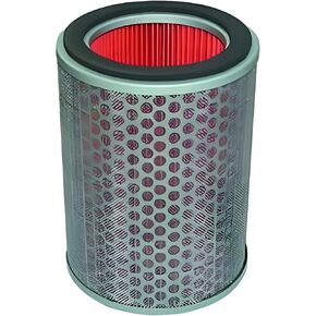 Hiflofiltro HFA1916 Premium OE Replacement Air Filter, Black