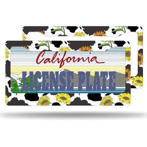 License Plate Frame Starry Night Van Gogh License Plate Frames,Decorative Aluminum Car Tag Frames for Women Stainless Metal License Plate Holder 2Pack 2 Hole with Screw US Standard 12''x6''