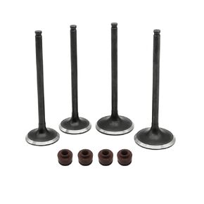 Intake Exhaust Engine Valves Seals Kit for Honda CRF250 CRF250X 2004-2017 CRF250R 2004-2007, OEM# 14711-KRN-670 14721-KRN-670 12209-GB4-681
