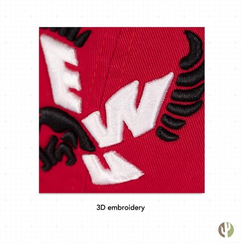 Desert Cactus Eastern Washington University Baseball Hat EWU Eagles Brimmed Embroirderd Cap Adjustable Cloth Strap Adult (Style B) Black in Saudi Arabia
