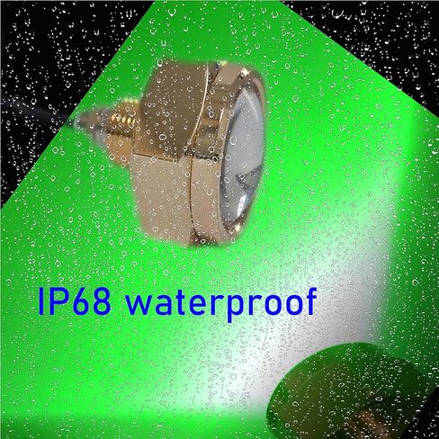 RGBW LED Boat Drain Plug Lights, Standard 1/2" NPT Underwater Multicolor Stern Drain Plug Light with IR Remote APP Dual Control(Pack of 2) in Saudi Arabia