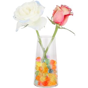 Glass Hydroponic Flower Vase-6 Inch Tall Glass Vase - for Flowers,Dried Flower，Centerpieces, Party, Hotel，Home Décor (Irised Clear, Small)