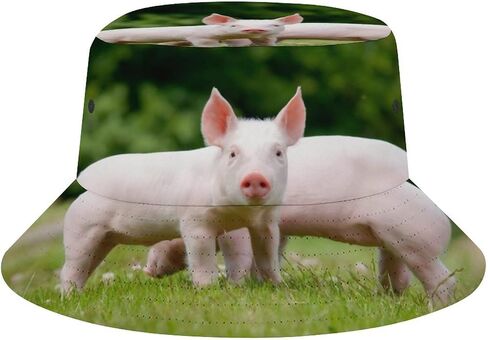 Peace Hamster Meme Bucket Hat for Women Men Packable Sun Cap Fisherman Hat Travel Outdoor Beach Caps in Saudi Arabia