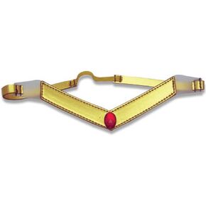 Sailor Moon Moon Tiara Costume