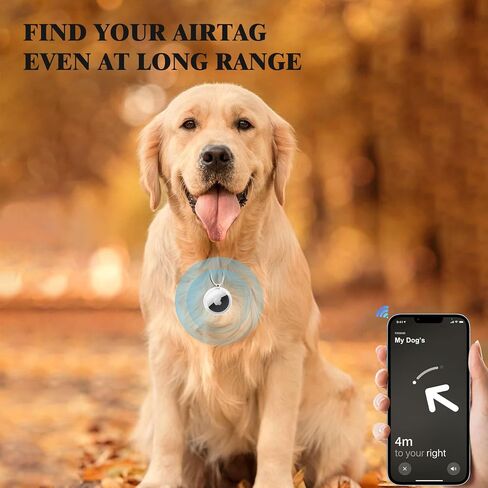 2 حزم Airtag حامل مفتاح حلقة AirTag حامل سلسلة المفاتيح مع حلقة الفولاذ المقاوم للصدأ غير مرئية سليم مع 2 حلقات سلسلة المفاتيح لعناصر Airtag Finder، مفتاح، حقائب الظهر in Saudi Arabia