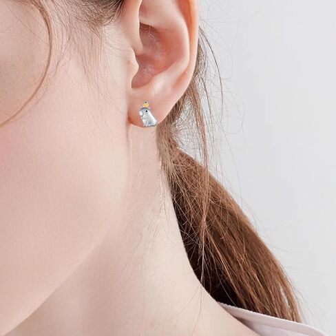 Capybara Gifts Capybara Earrings 925 Sterling Silver Lovely Capybara Jewelry Gifts for Women and Capybara Lovers in Saudi Arabia