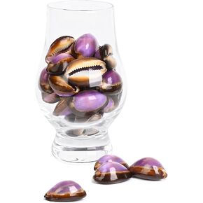 20PCS Sea Shells Purple Beach Shells for Crafts, Vase Filler, Wedding Decorations, Fish Tank, Candle Making, Party and Table Decor, Resin Projects, DIY Jewelry Making, Home Decor