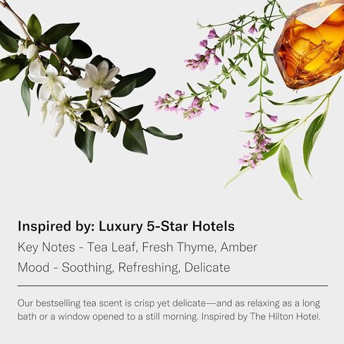 AromaTech White Tea and Thyme Aroma Essential Oil Blend: Luxury Hotel Inspired Aromatherapy with Tea Leaf, Fresh Thyme & Amber for Ultrasonic Diffusers & Nebulizers - 0.3 fl oz, 10 mL in Saudi Arabia