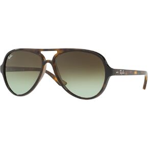 Ray-Ban RB4125 Cats 5000 Sunglasses + Vision Group Accessories Bundle