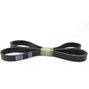 6PK2135 5060840 4060840 1060840 6 أضلاع، حزام أفعواني بطول 84 بوصة، أسود